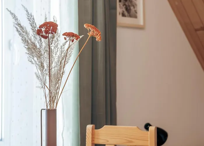 Rumcajsowka 民宿 *