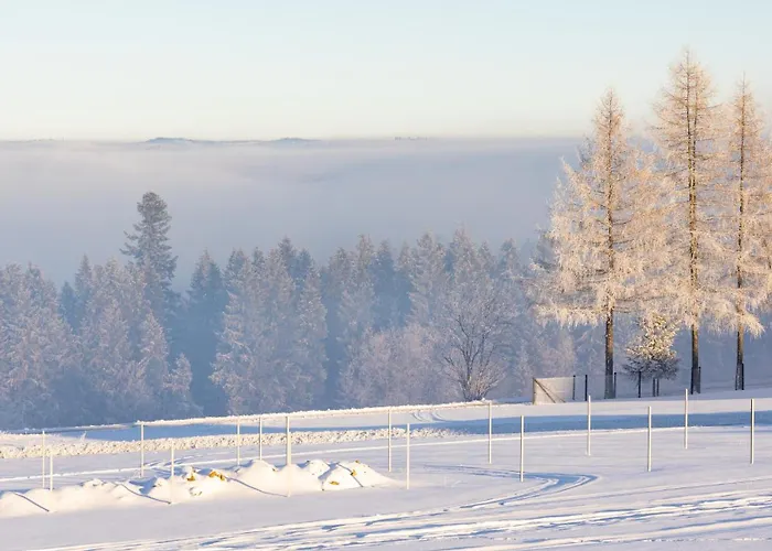 民宿 Rumcajsowka *