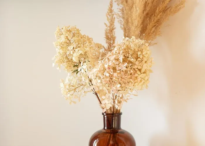 Rumcajsowka 民宿 *